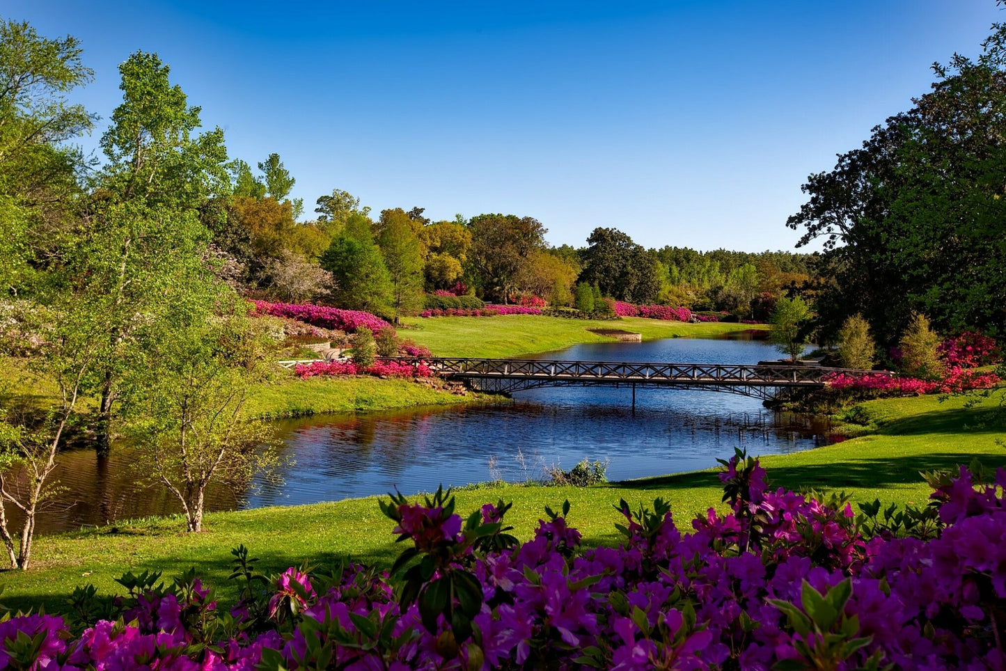 River Printed on Canvas 30" x 20" - Canvas - $209.99