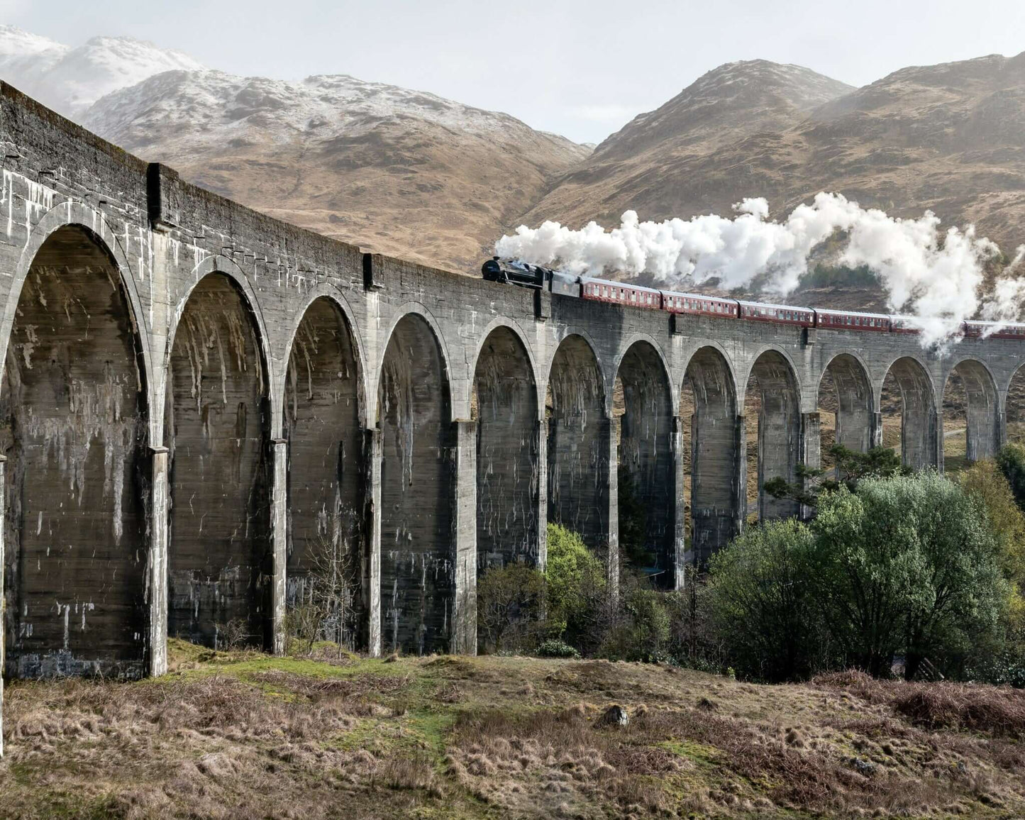 Canvas 30" x 24" - Canvas - $214.99