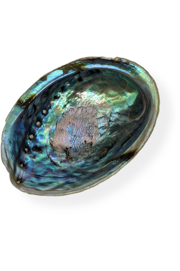 Palo Santo smudge kit with abalone shell