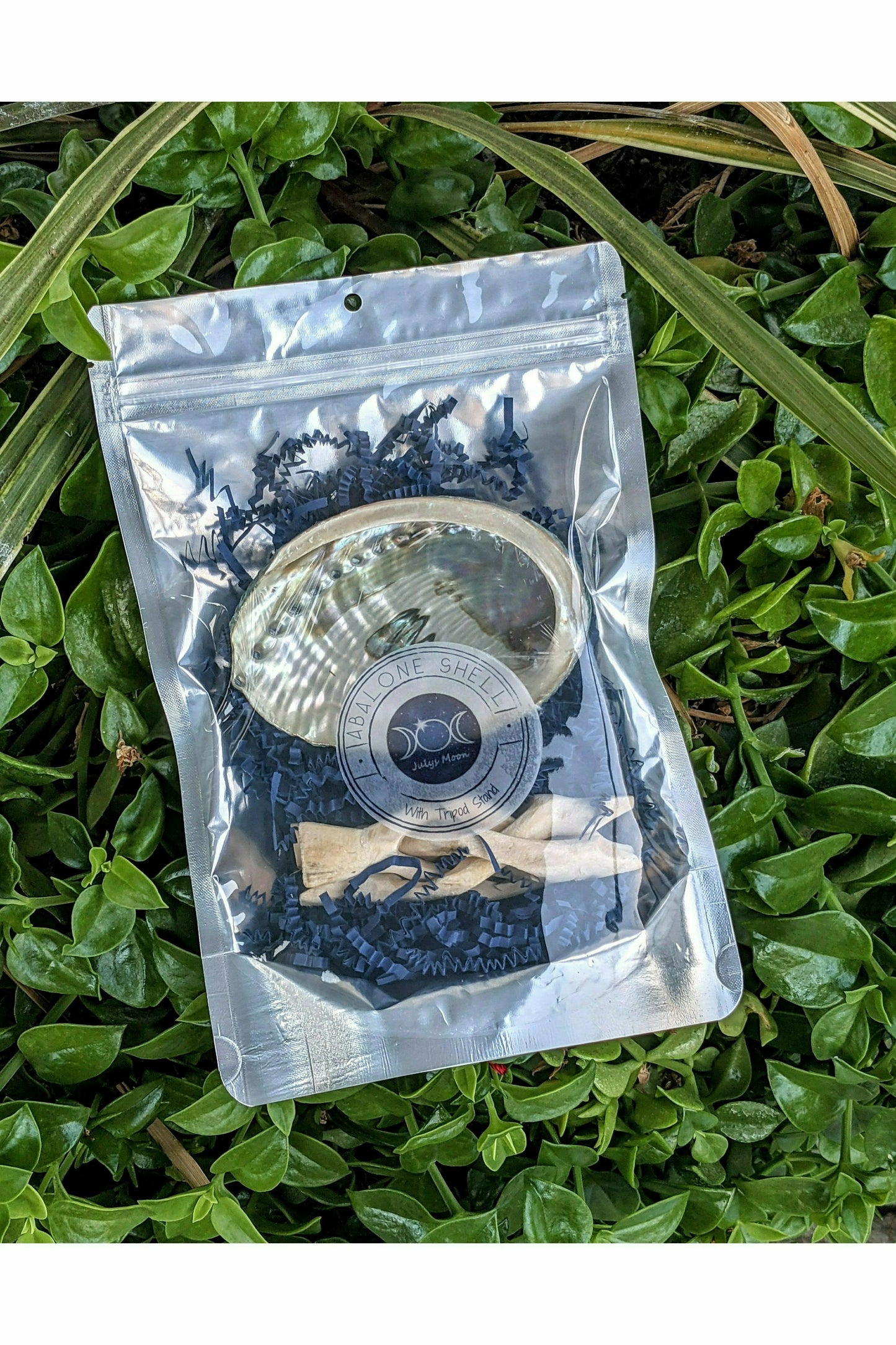 Abalone Shell with Wooden Stand