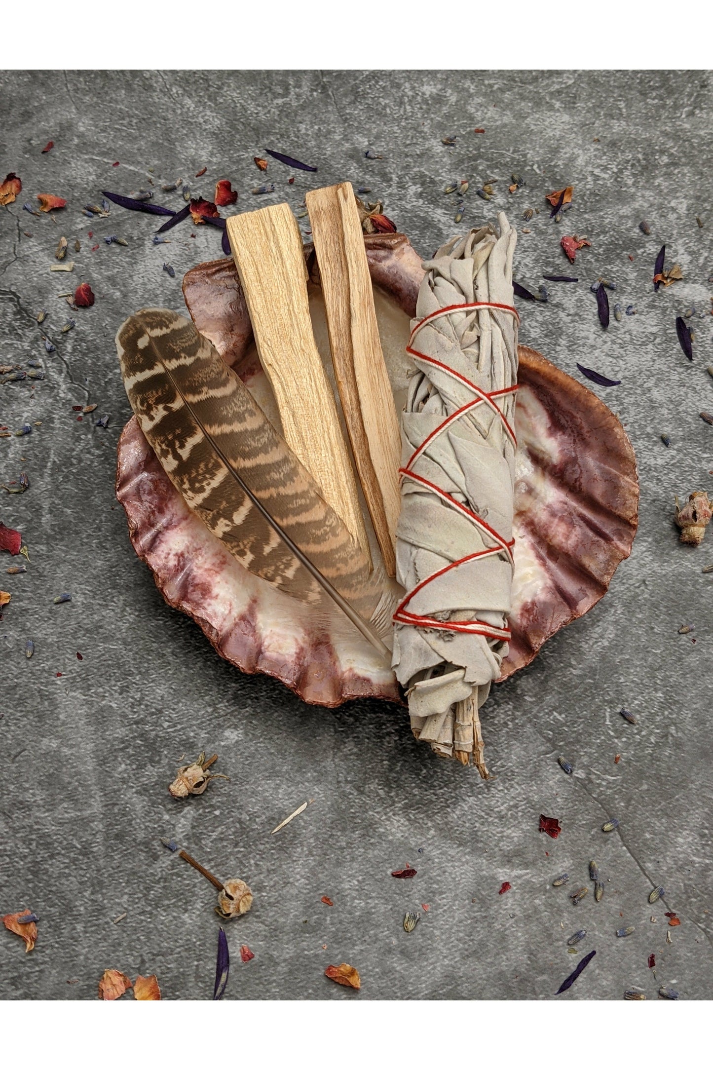White Sage, Palo Santo & Lion's Paw Shell Smudge Kit