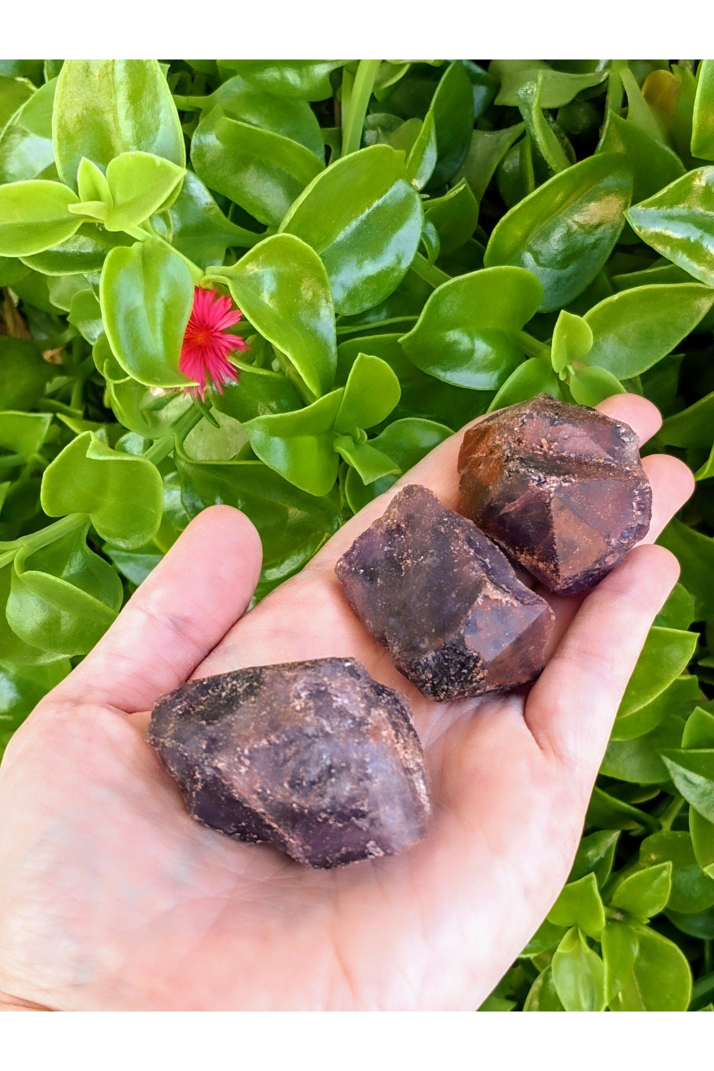 Rough Amber crystal - Healing & Positivity Stimulation - 1 pc