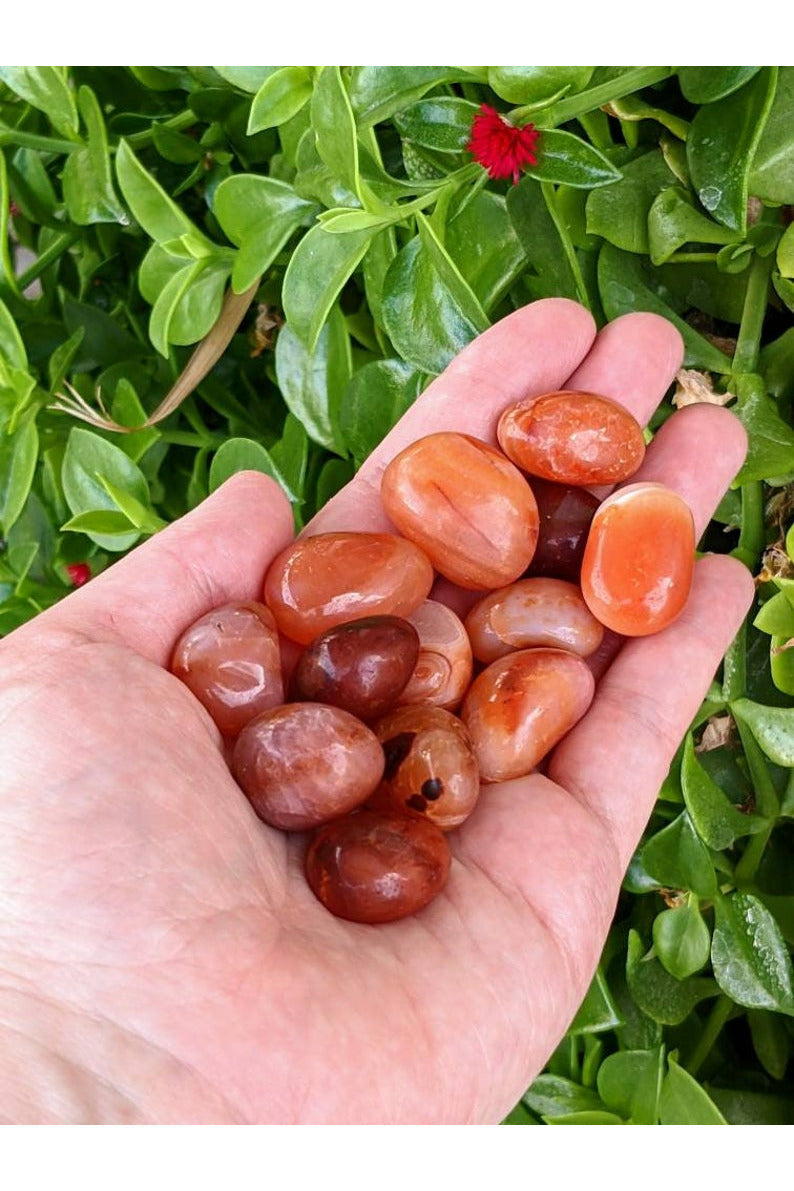 Tumbled Carnelian Stone - small