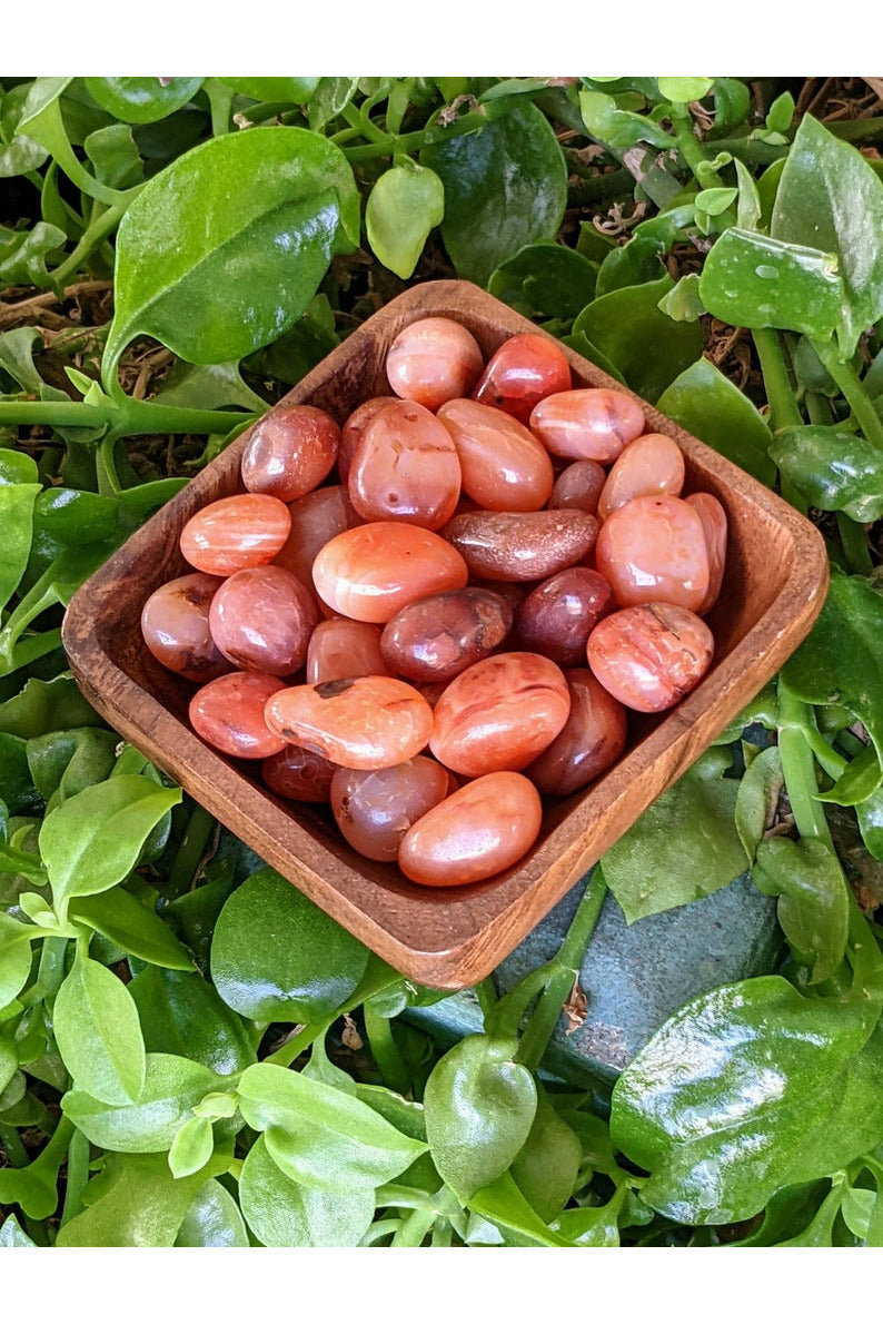 Tumbled Carnelian Stone - small