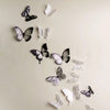 Black & White Butterflies Decorative Wall Stickers Decals