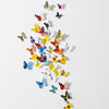 Butterflies Decorative Wall Stickers Decals