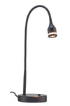 Matte Black Metal LED Adjustable Desk Lamp - Lighting > Table Lamps - $105.99