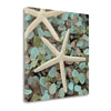 20" Starfish and Seaglass Giclee Wrap Canvas Wall Art - Home Decor > Wall Art - $196.99