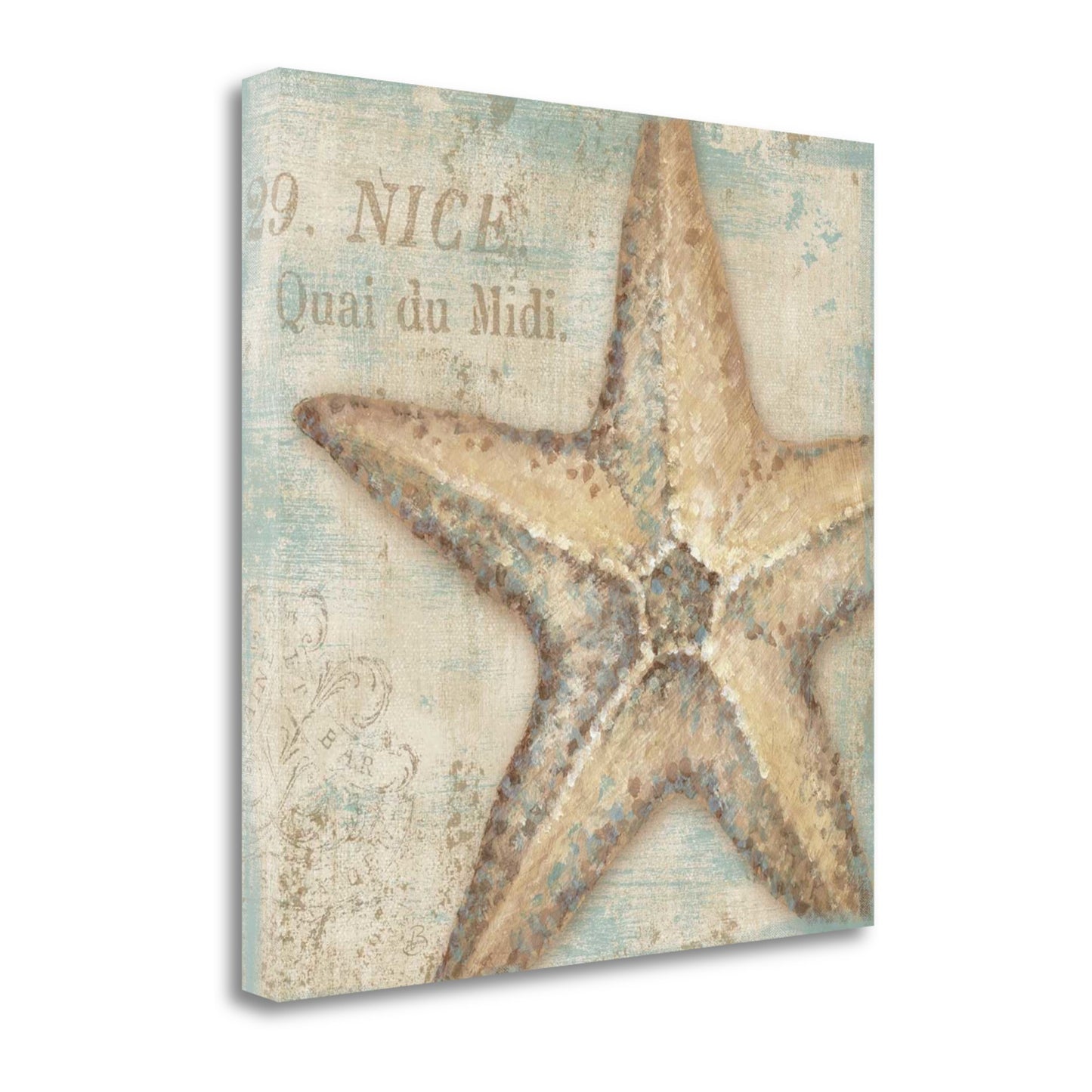Rustic French Seashell 2 Giclee Wrap Canvas Wall Art - Home Decor > Wall Art - $196.99