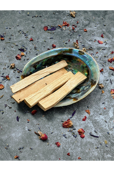 Palo Santo smudge kit with abalone shell
