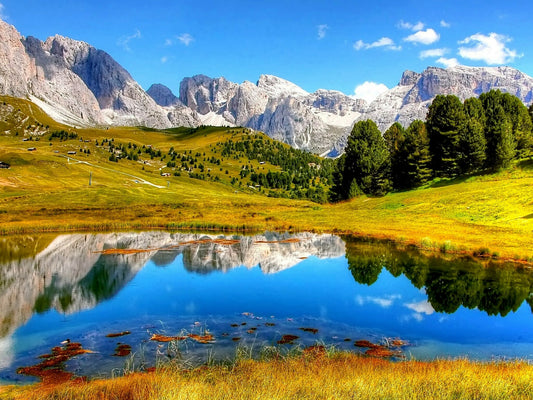 Valley Printed on Canvas 48" x 36" - Canvas - $305.99