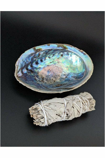 White Sage and Abalone shell smudge kit