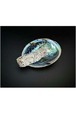 White Sage and Abalone shell smudge kit