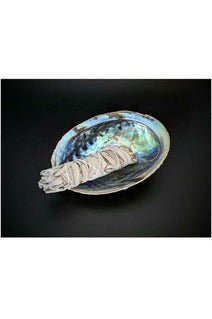 White Sage and Abalone shell smudge kit