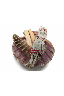 White Sage, Palo Santo & Lion's Paw Shell Smudge Kit