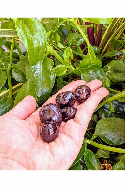 Polished Garnet Crystals