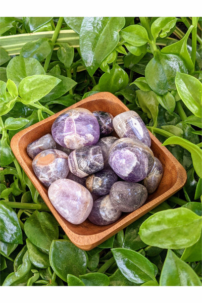 Polished Amethyst Crystals