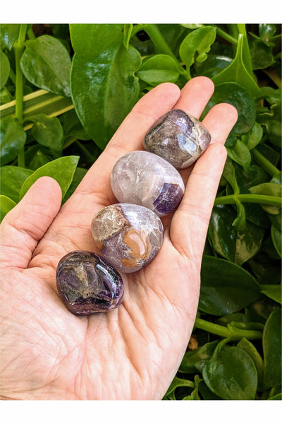 Polished Amethyst Crystals