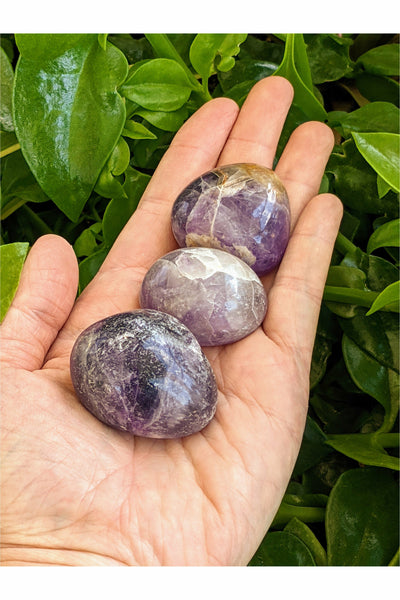 Polished Amethyst Crystals