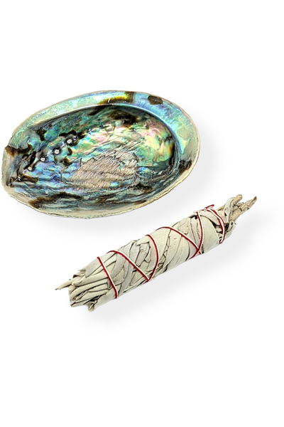 White Sage and Abalone shell smudge kit