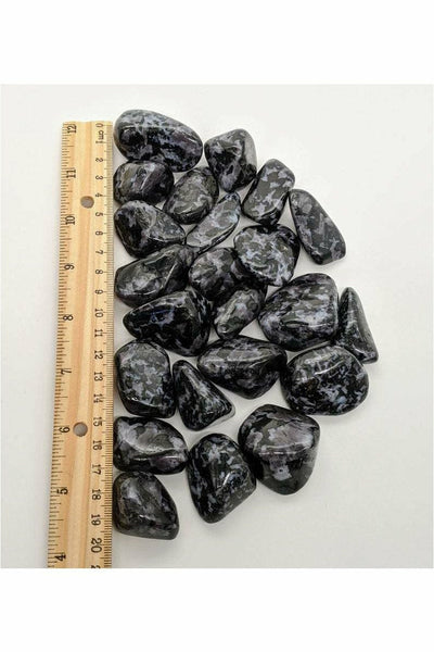 Polished Indigo Gabbro Crystals