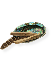 Palo Santo smudge kit with abalone shell & feather