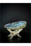 Abalone Shell with Wooden Stand
