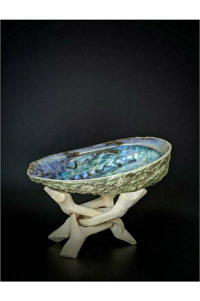 Abalone Shell with Wooden Stand