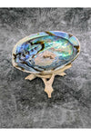 Abalone Shell with Wooden Stand