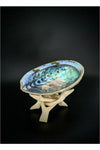 Abalone Shell with Wooden Stand