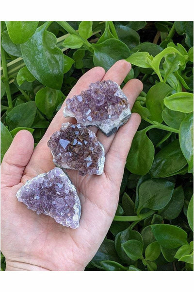 Raw Amethyst Druzy Cluster