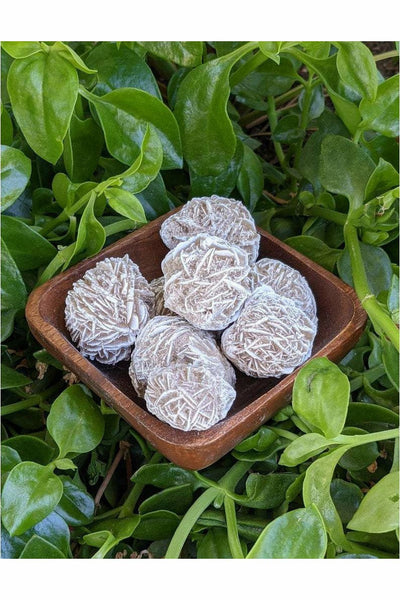Desert Rose Selenite Crystal - 1 pc