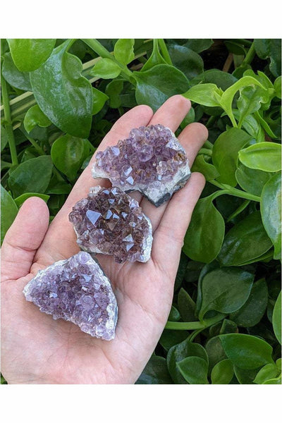 Raw Amethyst Druzy Cluster