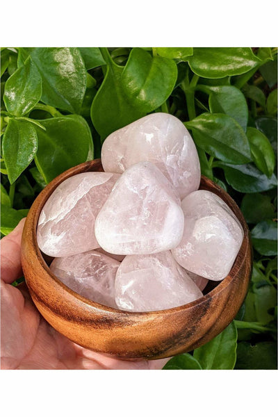 XXL Rose Quartz Healing Crystals