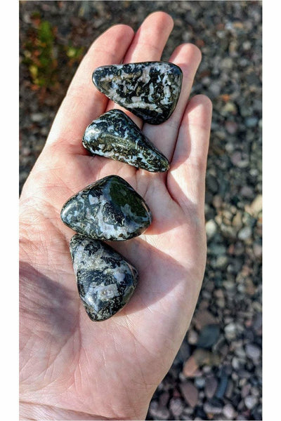 Polished Indigo Gabbro Crystals