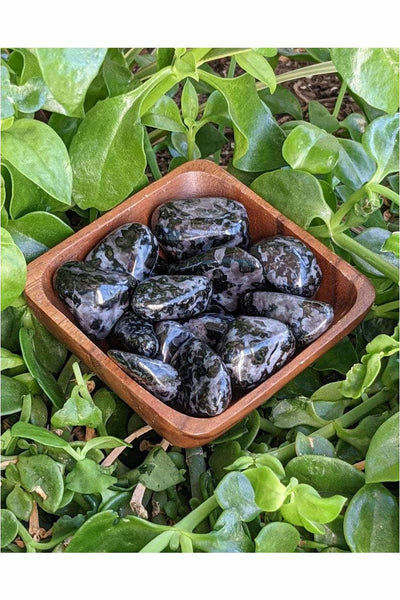 Polished Indigo Gabbro Crystals