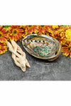 Abalone Shell with Wooden Stand