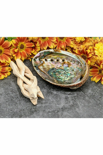 Abalone Shell with Wooden Stand