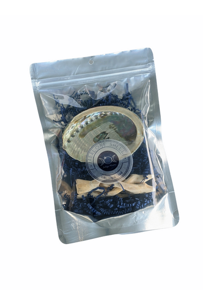 Abalone Shell with Wooden Stand