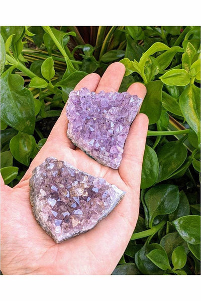 Raw Amethyst Druzy Cluster