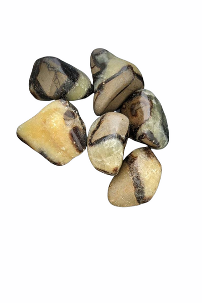 Polished Septarian Calcite Crystal