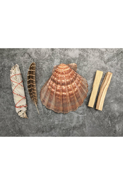 White Sage, Palo Santo & Lion's Paw Shell Smudge Kit