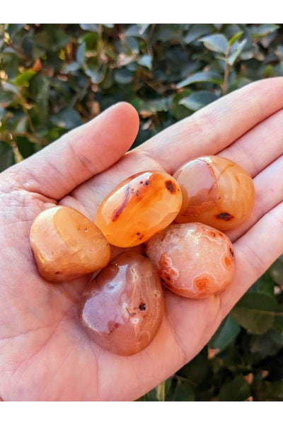 Tumbled Carnelian Crystals - 1" - 2"