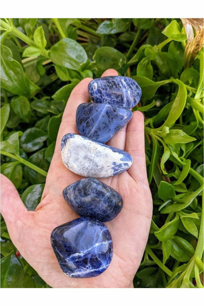 Large Tumbled Sodalite Chakra stone - Harmony & Trust - 1 pc