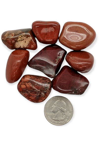Tumbled Red Jasper Crystals - Medium
