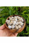 Mini Desert Rose Selenite Crystal - Energy boost 1 pc