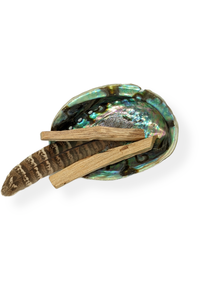 Palo Santo smudge kit with abalone shell & feather
