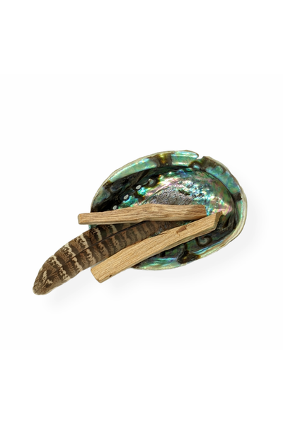 Palo Santo smudge kit with abalone shell & feather