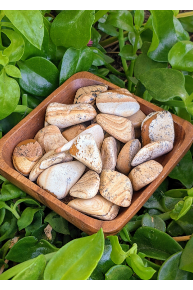 Tumbled Picture Jasper Crystals