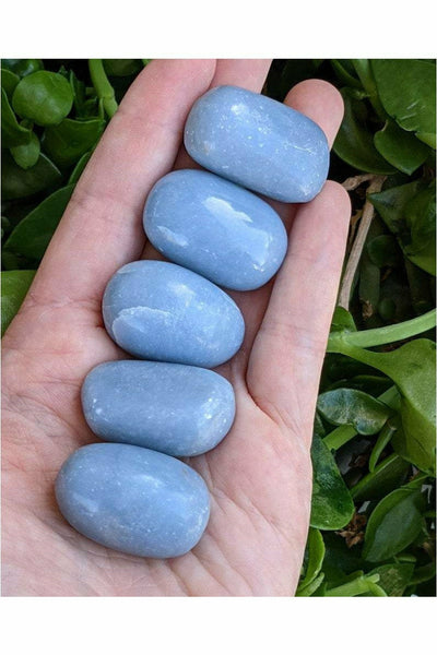Tumbled Angelite Crystals
